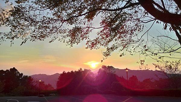 P_20150913_174958_HDR.jpg-1405166963