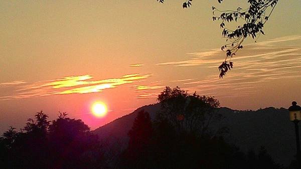 P_20150913_175446.jpg1877169847