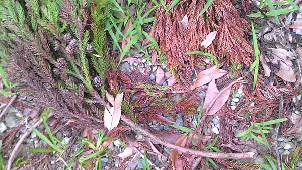 P_20150920_120254.jpg-1054434842