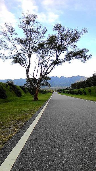 P_20151015_162711_LL.jpg605878166
