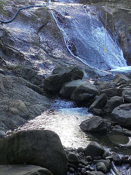 P_20151116_081831.jpg-1781239144