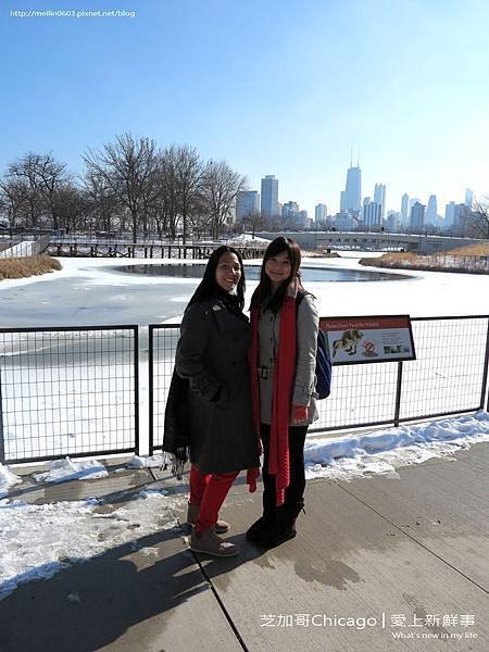 Chicago-20