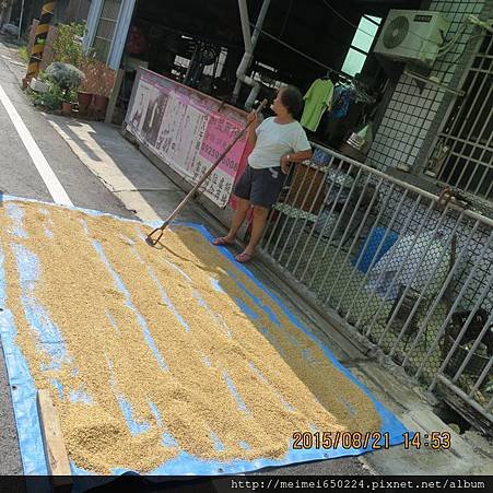 2015.08.21台南--善化胡厝寮彩繪村 060.jpg