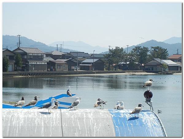 DSCN3776.jpg