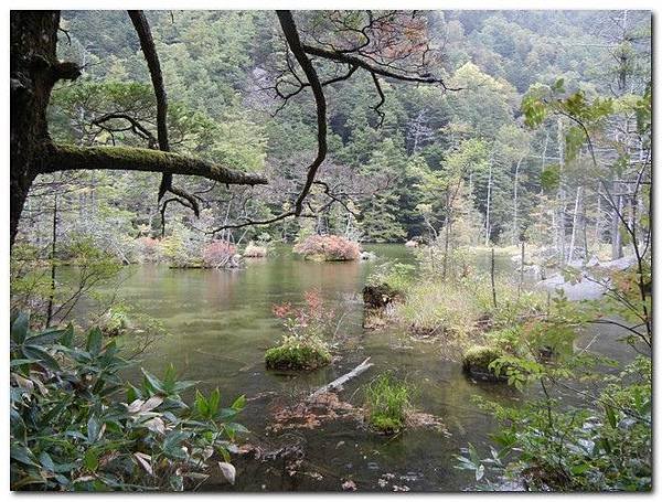 DSCN2297.jpg