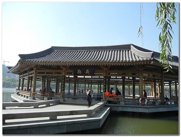 DSCN2692.jpg