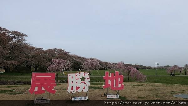 IMG_2292.JPG