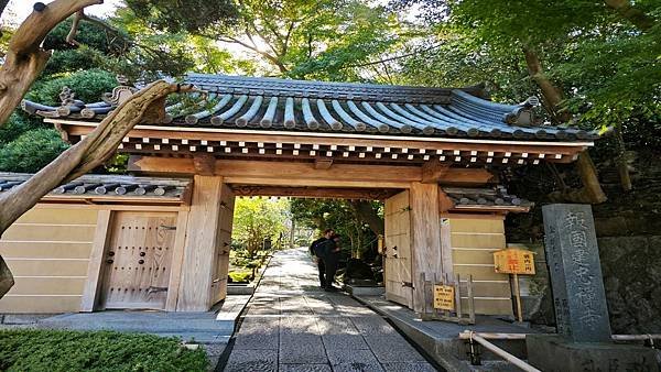 2024.11日本新潟長野東京秋日賞楓紀行DAY.8 鐮倉【