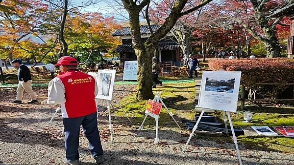 2024.11日本新潟長野東京秋日賞楓紀行DAY.1-2新潟