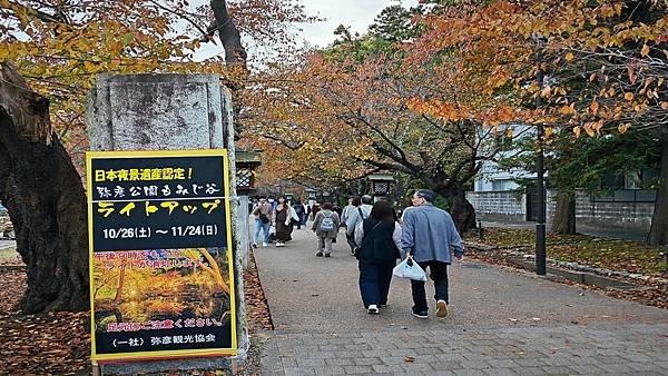 2024.11日本新潟長野東京秋日賞楓紀行DAY.1-2新潟