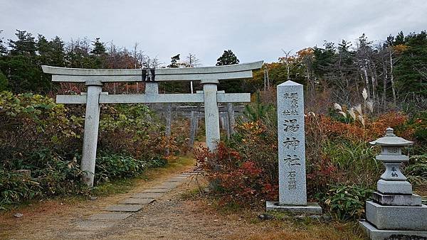 2024.11日本新潟長野東京秋日賞楓紀行DAY.1-2新潟