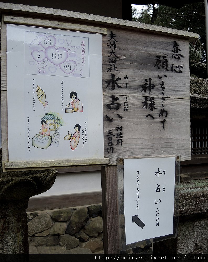 DSCN7931.JPG
