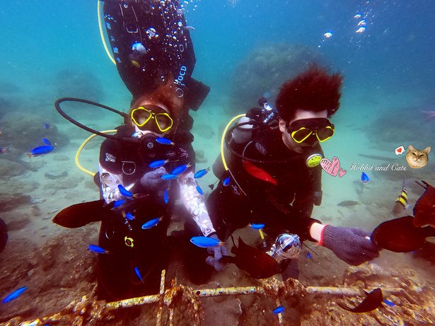 澎湖海洋途徑潛水體驗餵魚.jpg