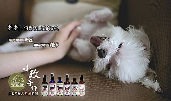 犬芳療Banner_瑪爾.jpg