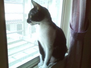 IMG0180A.jpg