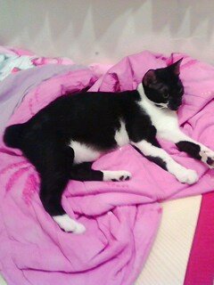 IMG0031A.jpg