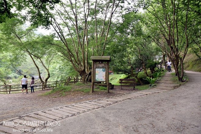 綠葉方舟景觀餐廳苗栗三義景點