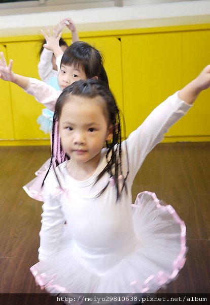 P1040553_1.JPG