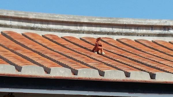20171203_112040.jpg