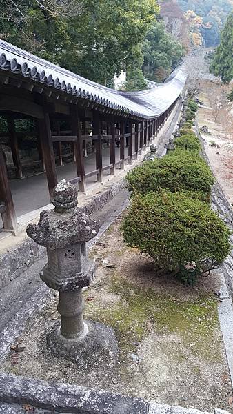 20181112_081919.jpg