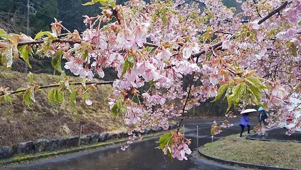 20190321_113555.jpg