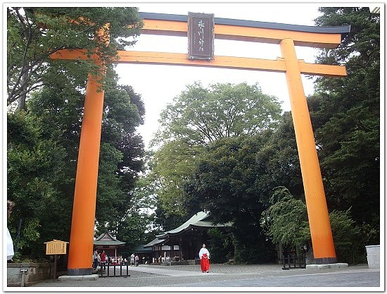 249-冰川神社著名的大鳥居，高約15公尺，是現今日本第一大的木造鳥居。.jpg