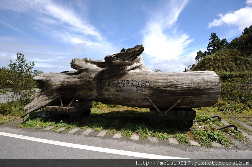 太平山到翠峰景觀逍路(全長16k)