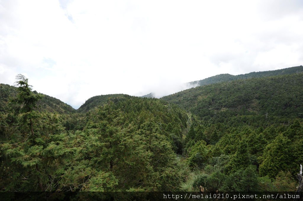 太平山到翠峰湖單騎 067