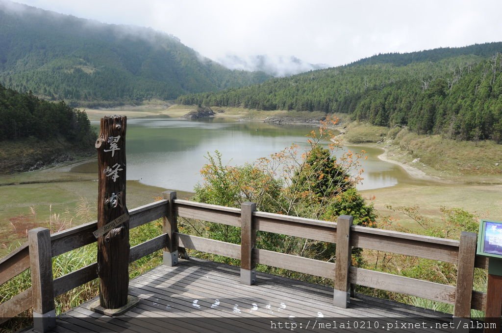 太平山到翠峰湖單騎 116