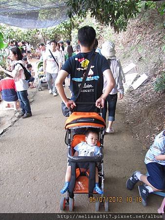 IMG_5484