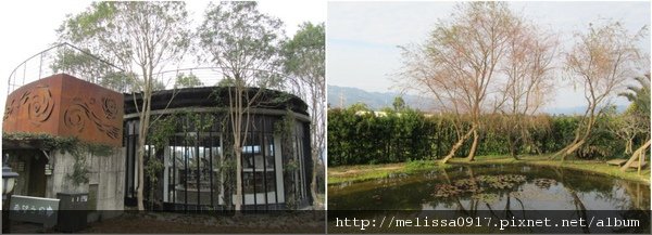 20110131-2.jpg