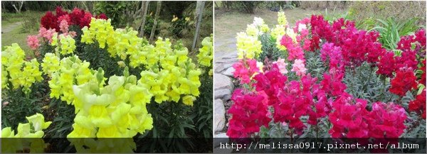 20110131-5.jpg