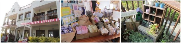 20110130-4.jpg