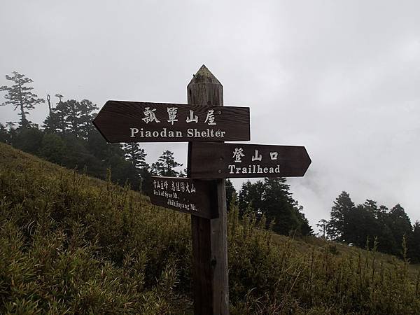 7.25K瓢簞山屋叉路口，直行往瓢簞山屋，取右上往志佳陽大山，右上方是必經的3110峰
