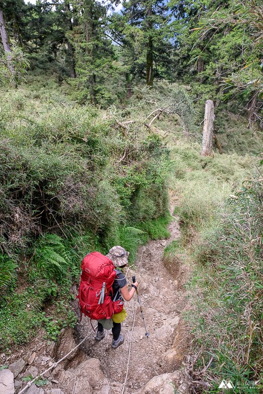 山女孩Melissa_南湖大山群峰_四天三夜-8149.jpg