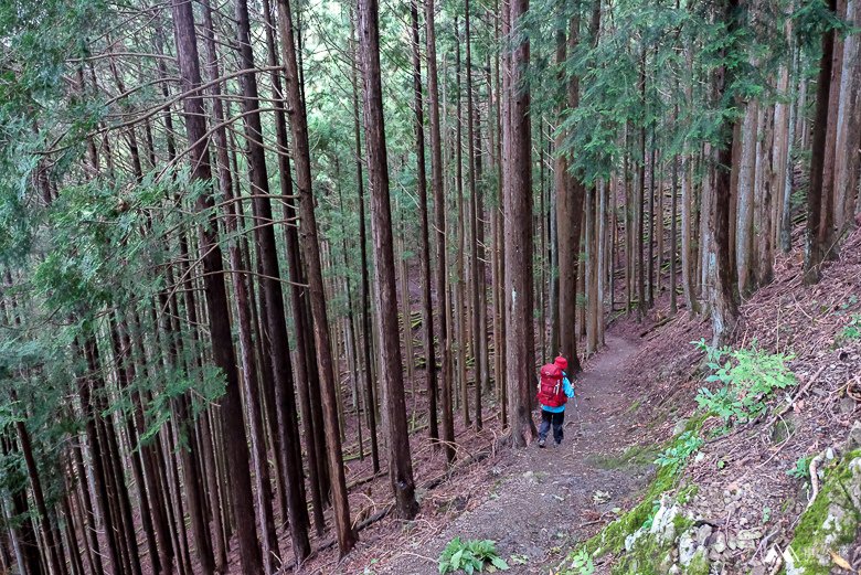 山女孩Melissa_奧多摩_雲取山-0967.jpg