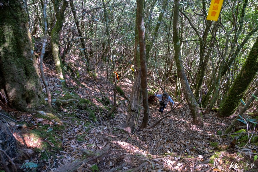 【高雄|六龜】南部幽靜的高山湖泊：石山秀湖三天兩夜。溪南山／