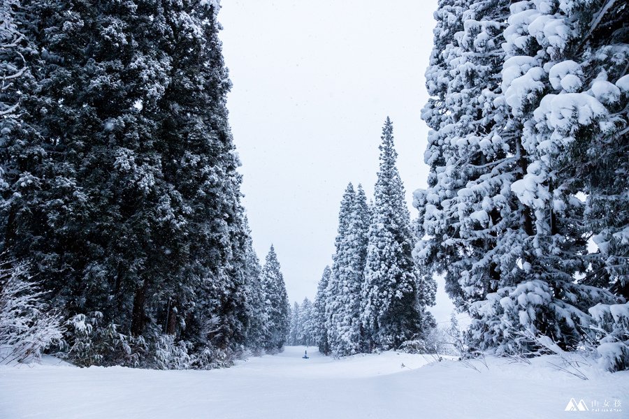 山女孩MelissaxMao冒險生活_日本妙高赤倉溫泉滑雪_潛雪Snow diving上課心得分享-7379.jpg