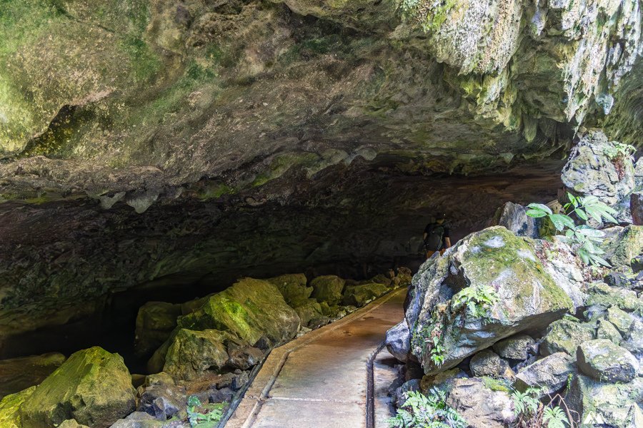 山女孩Melissa_東馬來西亞砂拉越Sarawak_姆魯國家公園mulu_鹿洞deer cave--7.jpg