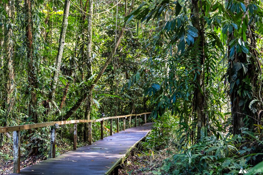 山女孩Melissa_東馬來西亞砂拉越Sarawak_姆魯國家公園mulu_鹿洞deer cave-0635.jpg