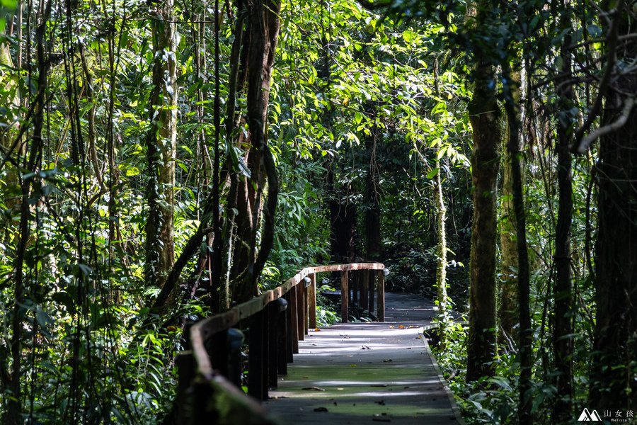 山女孩Melissa_東馬來西亞砂拉越Sarawak_姆魯國家公園mulu_鹿洞deer cave-0645.jpg