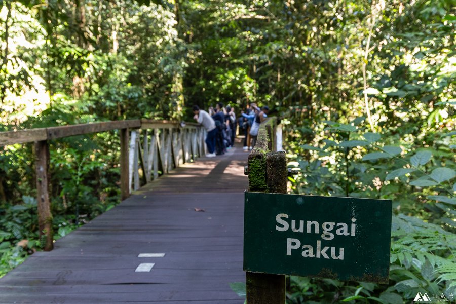 山女孩Melissa_東馬來西亞砂拉越Sarawak_姆魯國家公園mulu_鹿洞deer cave-0676.jpg