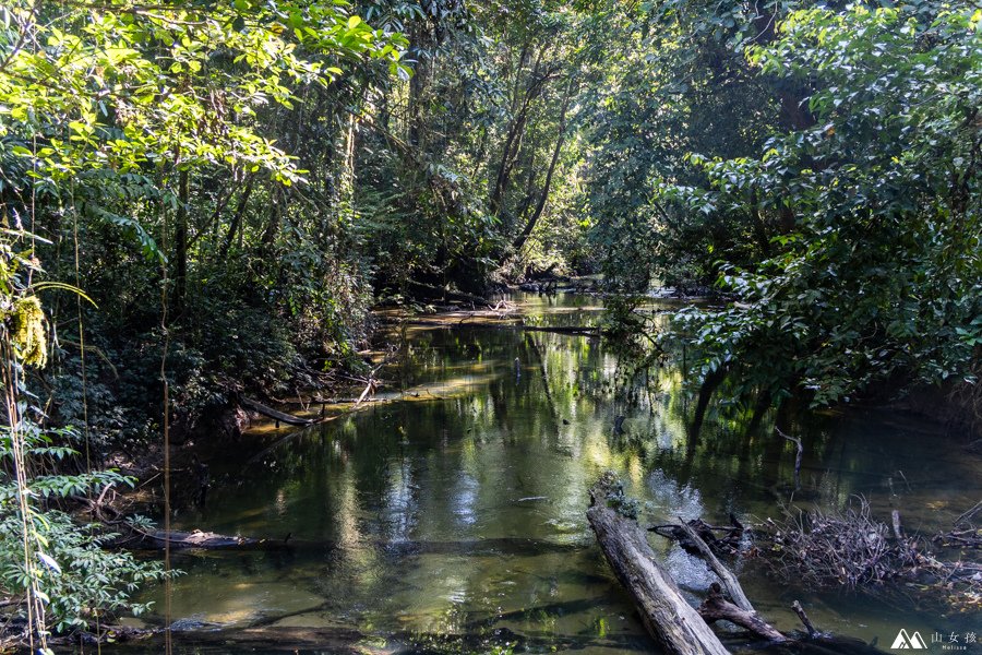 山女孩Melissa_東馬來西亞砂拉越Sarawak_姆魯國家公園mulu_鹿洞deer cave-0667.jpg