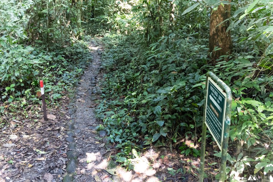 山女孩Melissa_東馬來西亞砂拉越Sarawak_姆魯國家公園mulu_鹿洞deer cave-0665.jpg