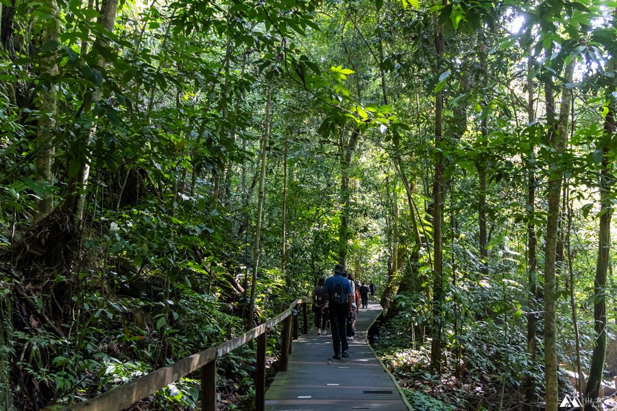 山女孩Melissa_東馬來西亞砂拉越Sarawak_姆魯國家公園mulu_鹿洞deer cave-0693.jpg