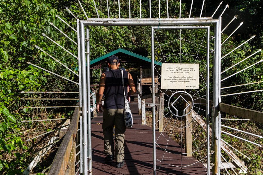 山女孩Melissa_東馬來西亞砂拉越Sarawak_姆魯國家公園mulu_鹿洞deer cave-0700.jpg