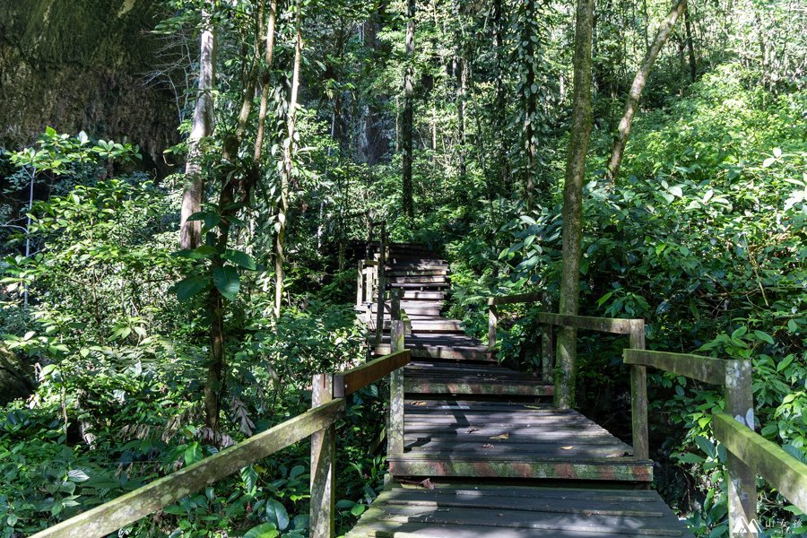 山女孩Melissa_東馬來西亞砂拉越Sarawak_姆魯國家公園mulu_鹿洞deer cave-0704.jpg