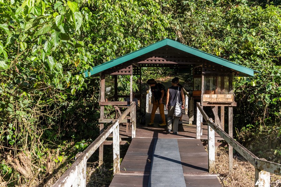 山女孩Melissa_東馬來西亞砂拉越Sarawak_姆魯國家公園mulu_鹿洞deer cave-0701.jpg