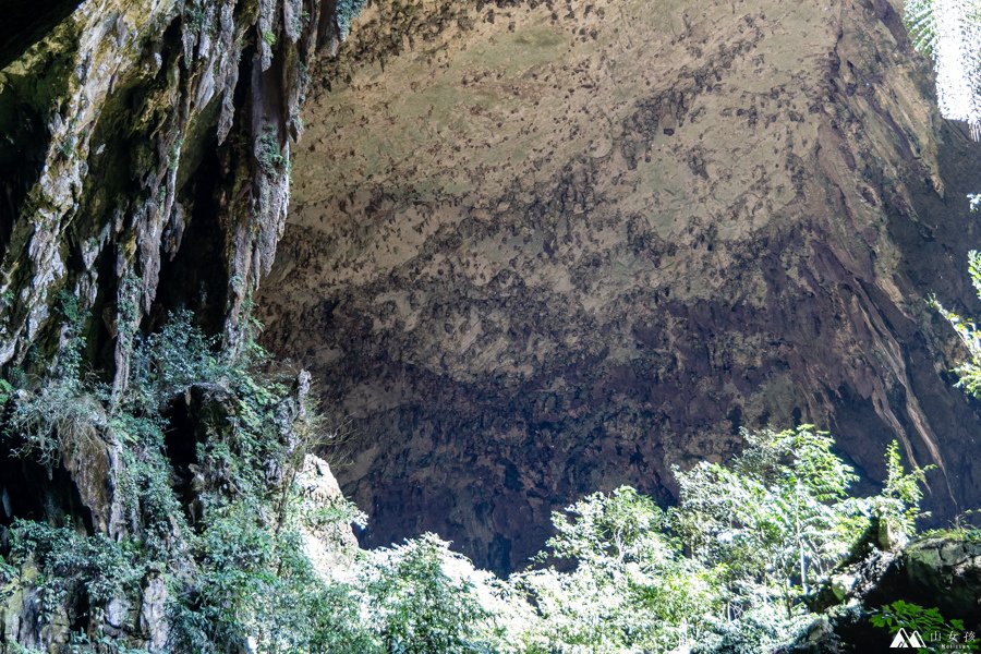 山女孩Melissa_東馬來西亞砂拉越Sarawak_姆魯國家公園mulu_鹿洞deer cave-0709.jpg