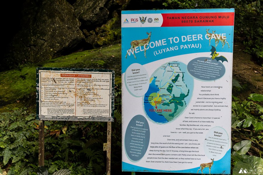 山女孩Melissa_東馬來西亞砂拉越Sarawak_姆魯國家公園mulu_鹿洞deer cave-0711.jpg